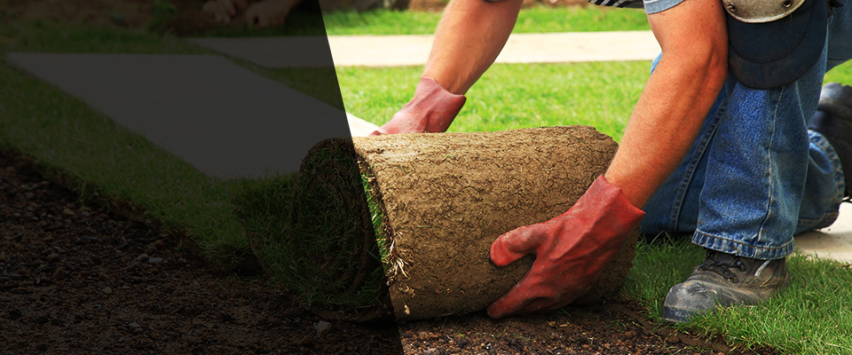 Mount Hood Parkdale Landscapers